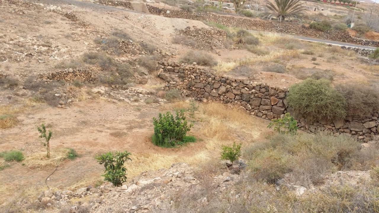 Casa Blas Пуерто дел Росарио Екстериор снимка